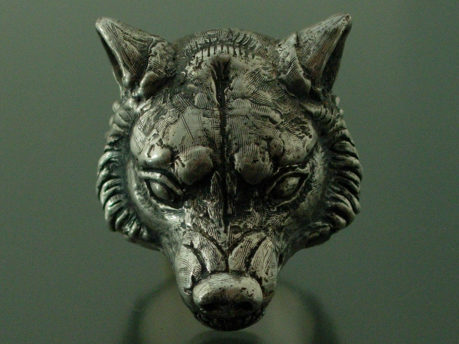 GIANT WOLF RING DIRE WOLF RING 925 70+ GRAMS