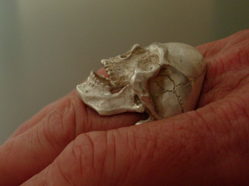 NEW ART STERLING SILVER SKULL RING  925 ANATOMICAL